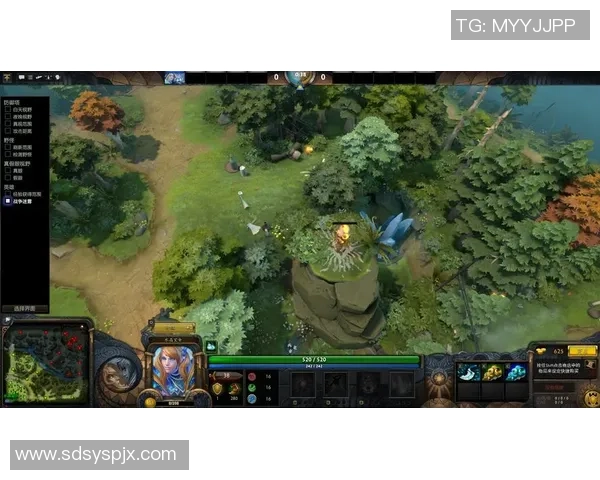 从零开始：DOTA2团队协作完全攻略