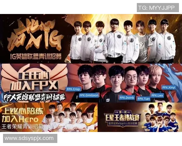 王者荣耀专题：聚焦IG的团队协作